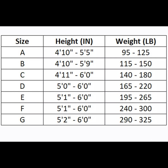 Spanx Plus Sheer Nude Size G Hosiery - Picture 3 of 3